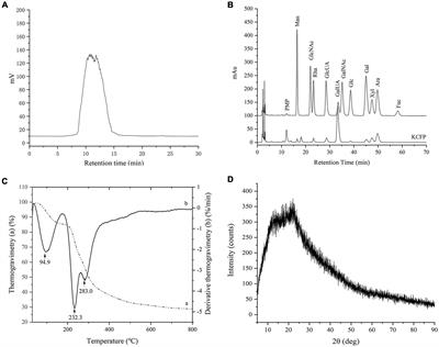 Physicochemical Characterization and Antioxidant and Hypolipidaemic Activities of a Polysaccharide From the Fruit of Kadsura coccinea (Lem.) A. C. Smith